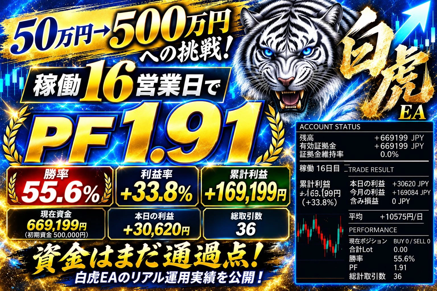 白虎EA 500万円チャレンジ