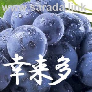 経済指標カウントダウン
ตัวนับถอยหลังของตัวชี้วัดทางเศรษฐกิจ Indicators/E-books