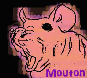 Mouton_USDJPY Auto Trading