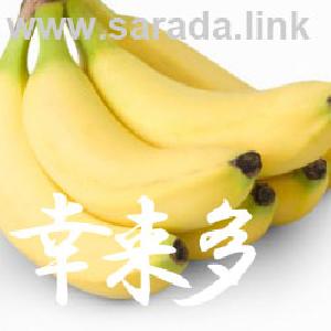 EUR/USD Auto Trading