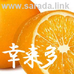 e@ta_EURUSD Auto Trading