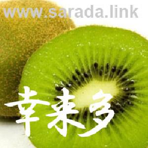 e@tc_GAUC ซื้อขายอัตโนมัติ