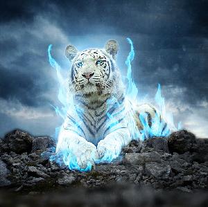 【※ＦＸ新情報】ＥＡ２つと手動ツール3つ Indicators/E-books