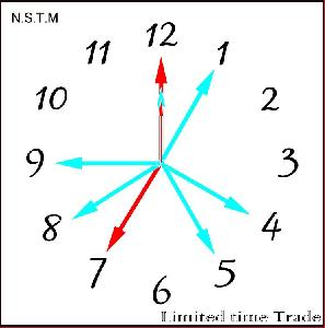 NSTM　Limited time trade　のトレード結果と相場について・・・（たまにTrust of Nも稼働） Investment Navi+