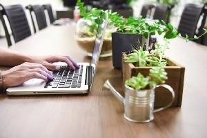 簡単なインジケーター作成代行 Indicators/E-books