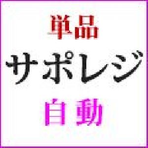 【単品】サポレジセット Indicators/E-books