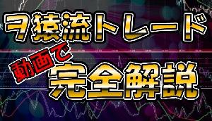 ヲ猿流FXトレード完全解説　【FX】 Indicators/E-books