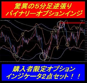 驚異の５分足逆張りスキャルピング最強インジ　購入者限定オプションインジ