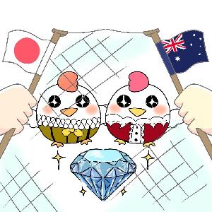 １石２鳥（AUDJPY・プレミアム版）  自動売買