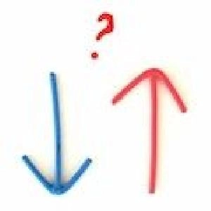 FXよりも利益をあげやすい！バイナリーオプション初級講座 Investment Navi+