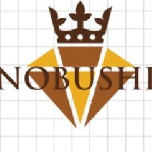 のぶしのオリジナルインジケーター インジケーター・電子書籍