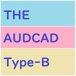 「THE　AUDCAD」タイプB