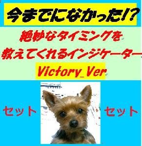 お得なセット【新インジケーターVictory.verも入ったチョーお得な4点セット】