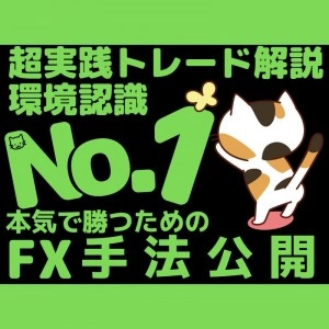 ＦＸ投資会員ブログー手法公開！ Investment Navi+