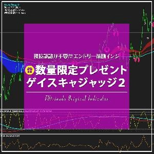 ゲイスキャFXの購入特典 Indicators/E-books