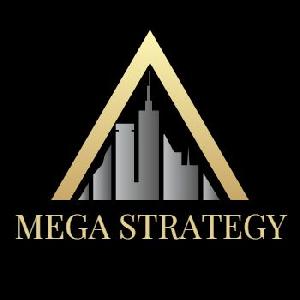 メガ・ストラテジー
