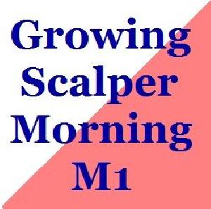 Growing_Scalper_Morning_M1 Auto Trading