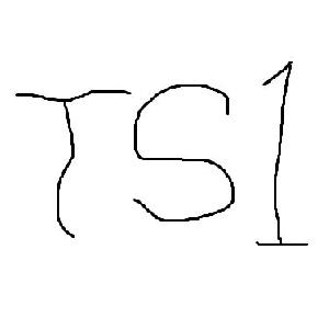 TS1