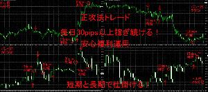 毎日30pips以上稼ぐ正攻法トレード！！