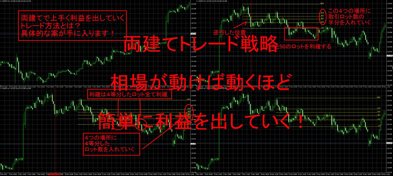 両建てトレード戦略 相場が動けば動くほど簡単に利益を出して