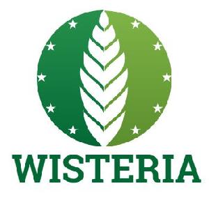 ウィステリア Auto Trading