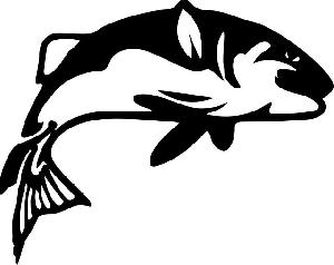flying fish