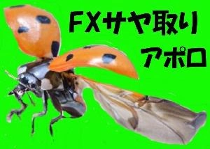 ＦＸサヤ取りアポロ