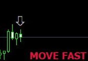 MOVE FAST Indicators/E-books