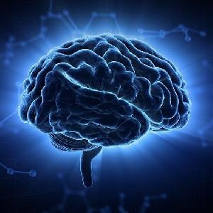 統計的根拠に基づいた、投資脳トレーニングマニュアル