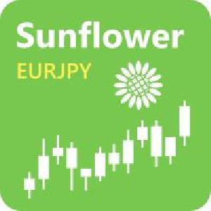 Sunflower EURJPY Auto Trading