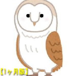 ラスト侍EURUSD_５分足 【1ヶ月版】