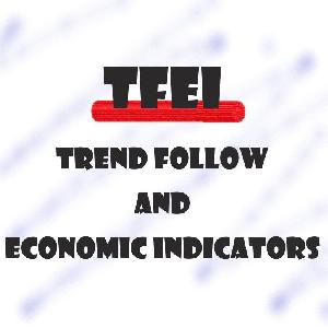TFEI(トレンドフォロー＆指標トレード) Indicators/E-books
