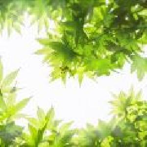 シリアル配信テスト２