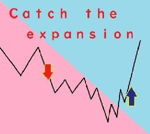 Catch the Ｅxpansion【7/24迄ご利用可能版】 Indicators/E-books