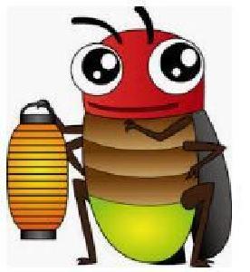 FireflyFX Auto Trading