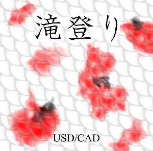 「バックテスト専用」　滝登り USDCAD refined Auto Trading