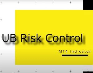 UB Risk Control