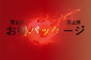 お得パッケージ Indicators/E-books