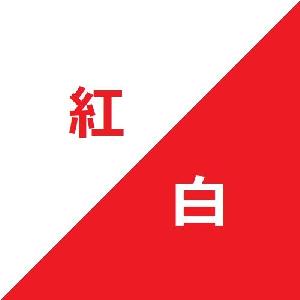 紅白　EUD/USD Auto Trading