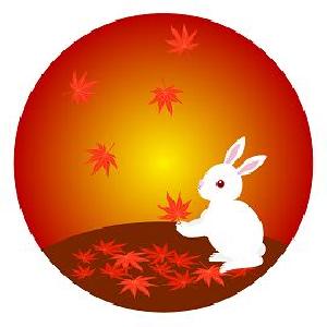 STABLE_MASTER Auto Trading