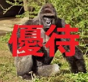 【優待版】Aggressive_Scalper_M1_USDJPY