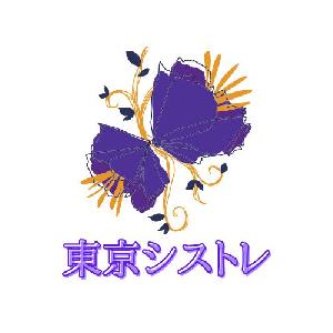 自動売買EAアルゴリズム開発教室　メタトレーダー（MT4,MT5） Indicators/E-books