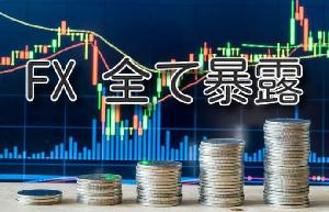 FXあるインジケーターを使った極秘手法教えます