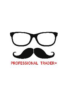 ProLineB(ZIGZAG+チャネル) Indicators/E-books