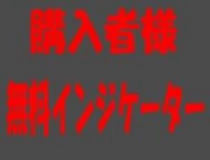 インジケータおまけセット
