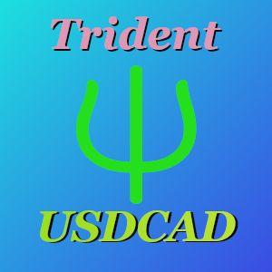 トライデント　USDCAD