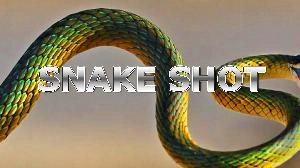 SNAKE SHOT（逆張りスキャルピング）