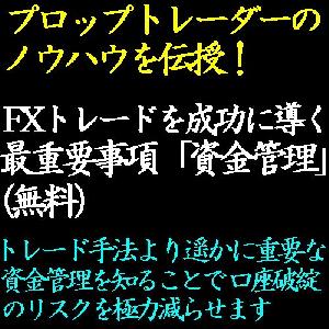 FX手法を成功に導くレポートシリーズ「資金管理編」 Indicators/E-books