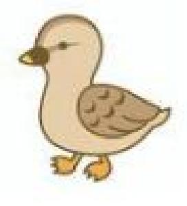 febduck_GBPUSD_M5 Auto Trading