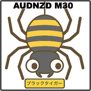 ブラックタイガー AUDNZD M30 Produced by Umbrella Auto Trading